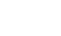 VitaeLab_logo_white_small_png.png