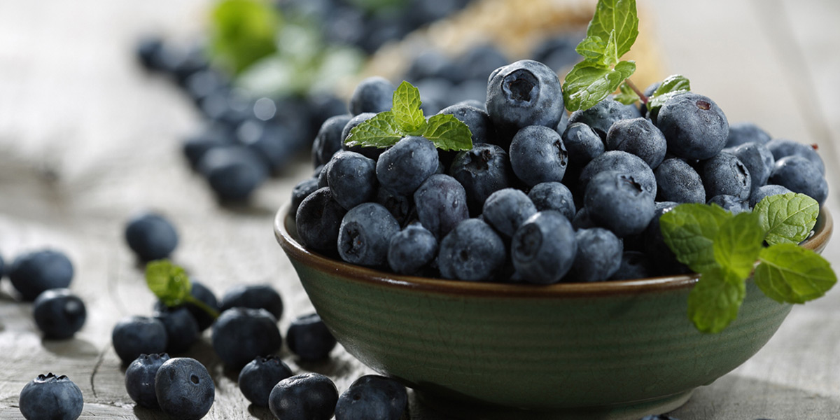 VL_VL_ALL_1200x600_1907_Facts_Antioxidants_Blue_Berries.jpg